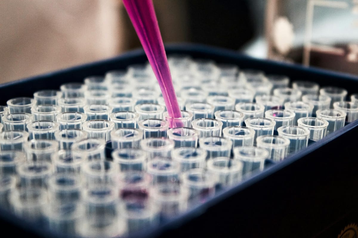 A close, shallow-focus view of dozens of small empty clear sample tubes standing in neat rows in a dark tray, with a pink pipette tip lowered into one of them.